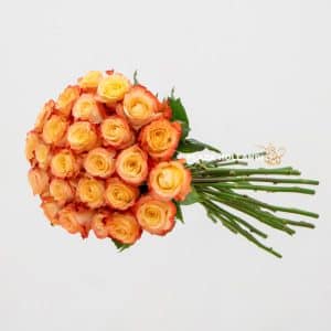 25 stems of orange roses