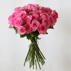 35v pink roses