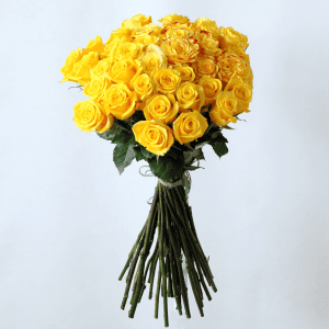 yellow roses