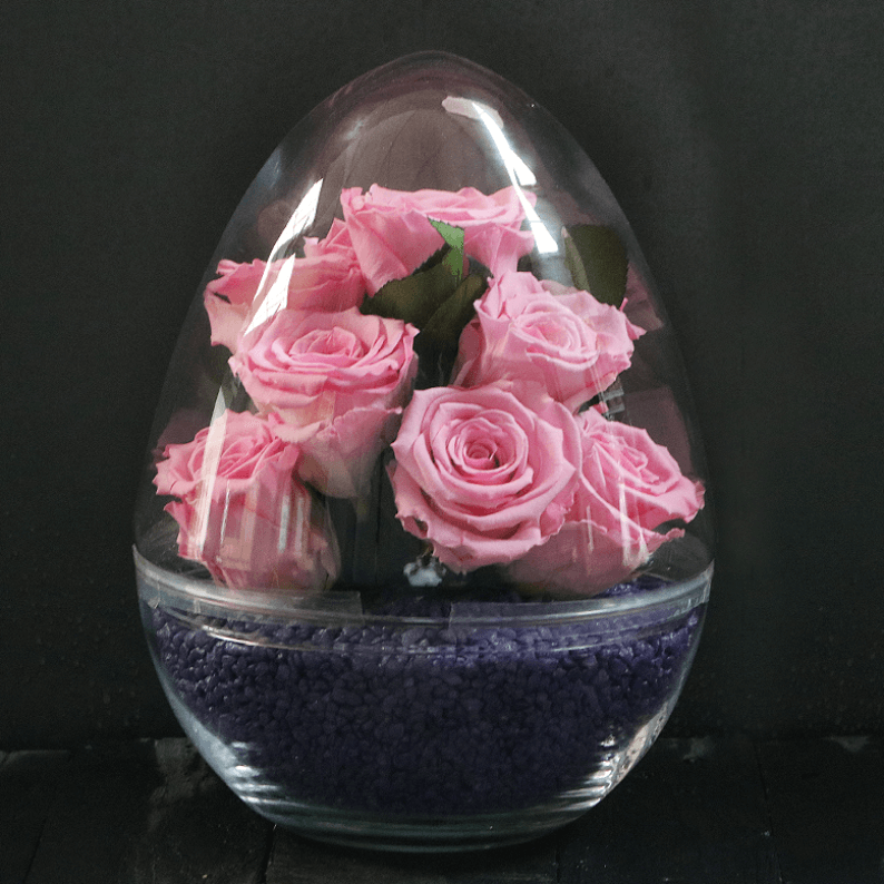 baby pink rose amor long lasting roses with purple stones