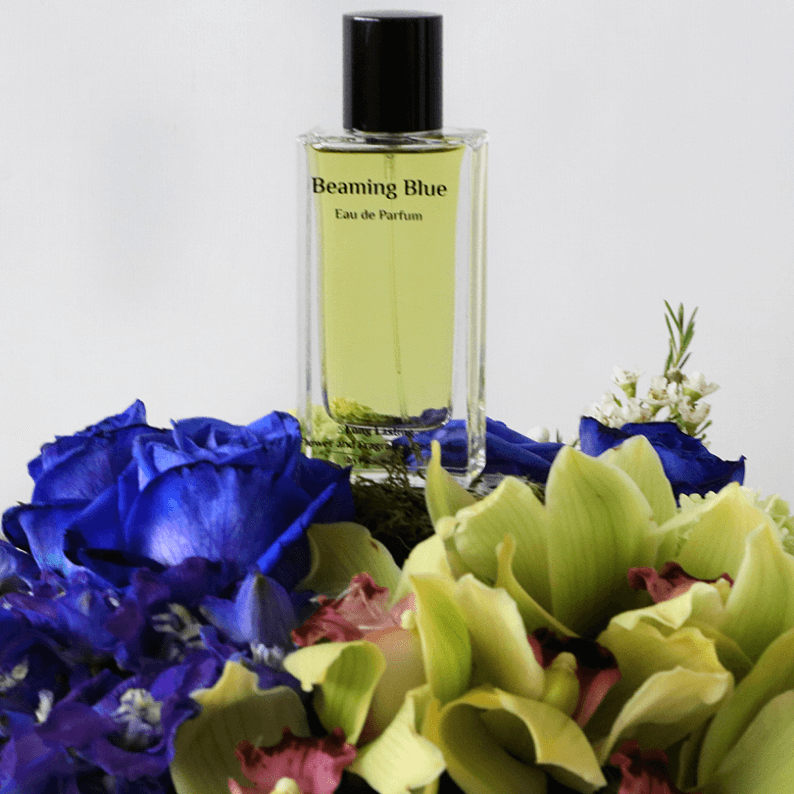 close up of beaming blue perfume with cymbidium orchids