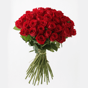 50 red roses