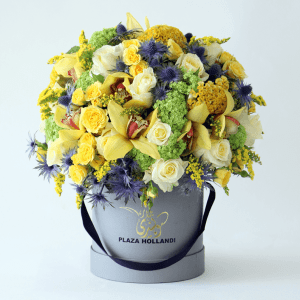 bright yellow flowers in a plaza hollandi hat box