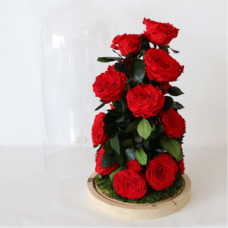 rose amor long lasting red roses in glass dome vase