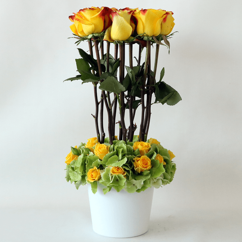 Yellow roses, green hydrangea and spray rose in a white pot
