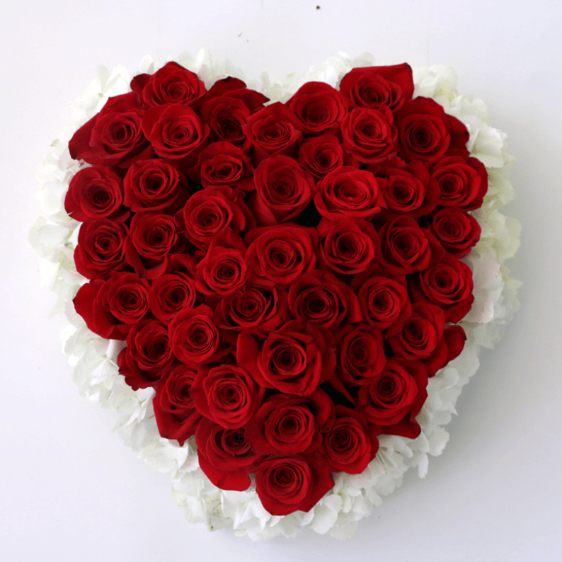 red roses surrounded by white hydrangea in a heart