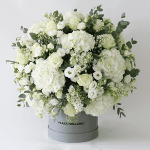 white hydrangea, white roses, white wax flower and eucalyptus in a round design in a plaza hollandi hat box