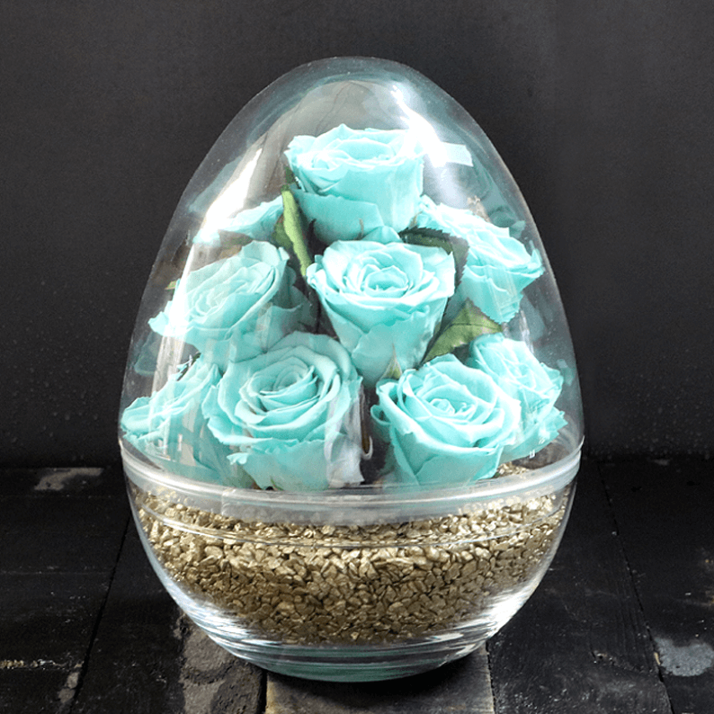 Turquoise Rose Amor Roses