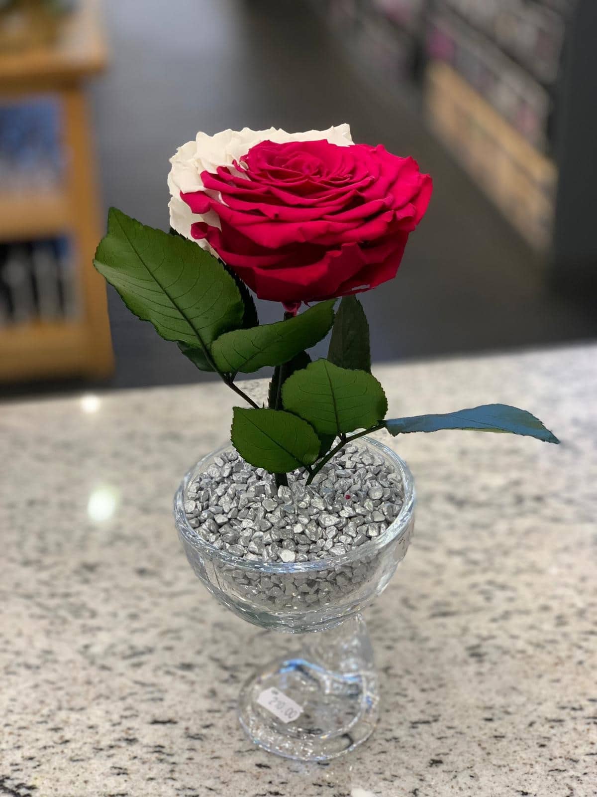 Qatar National Day 15 long lasting rose