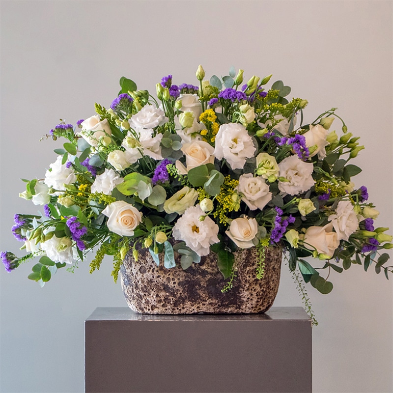 show more product filter 29 purple and white flowers in a pot