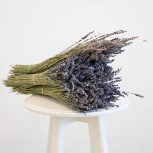 Dried lavender