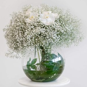 gypsophelia and phalaenopsis orchids