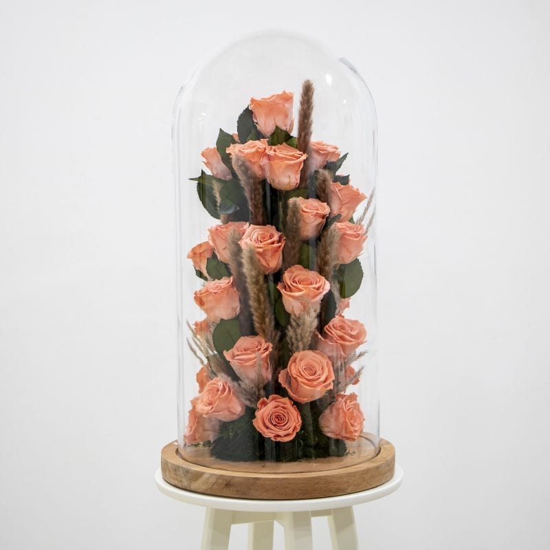 Coral preserved rose design