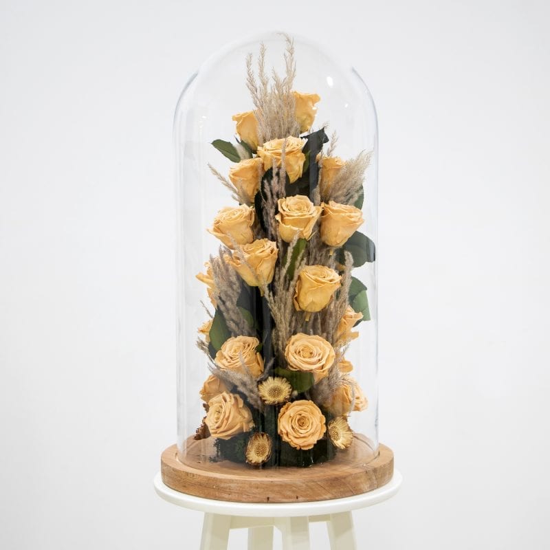 Caramel Rose amor roses