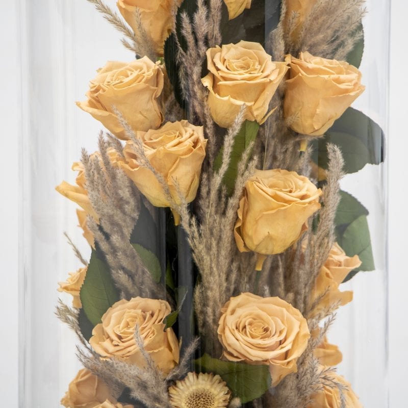 Caramel rose Amor design close up
