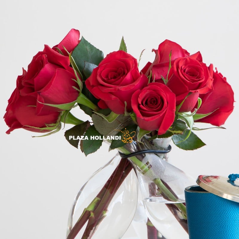 Close up of red roses in a vase