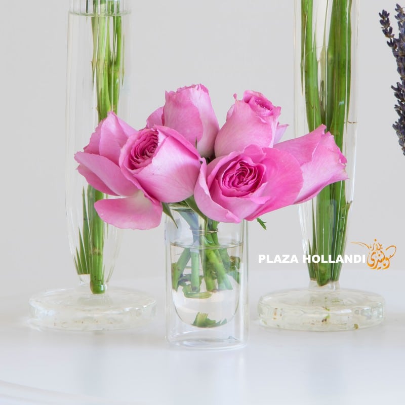Close up of pink roses in a vase