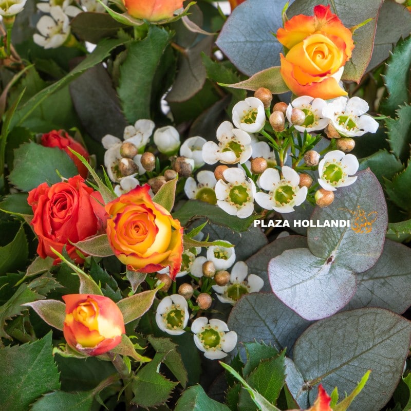 Close up of wax flower and orange spray roses