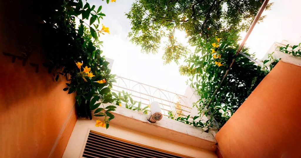 The Meaning of Roses 23 balcony flower arrangement
