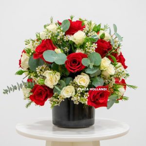 red and white roses