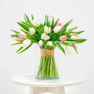 Mix Tulips In a Glass Vase