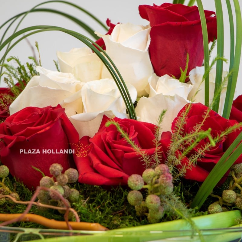 close up of red and white roses with steel grass
