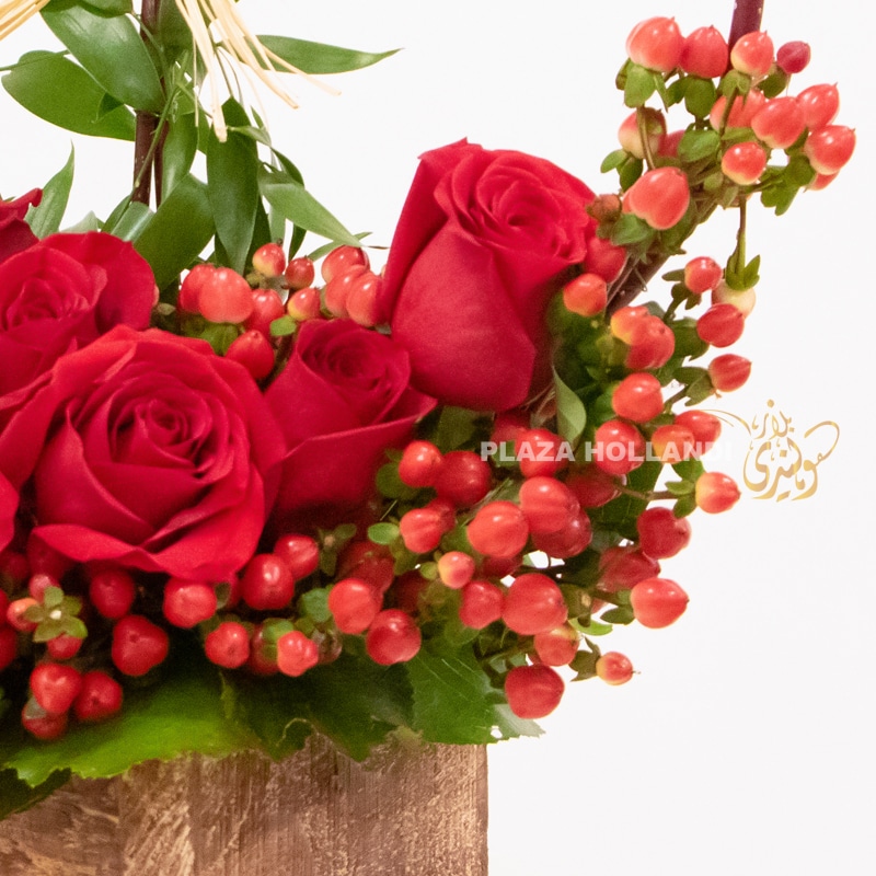 close up of red rose flowers, and hypericum