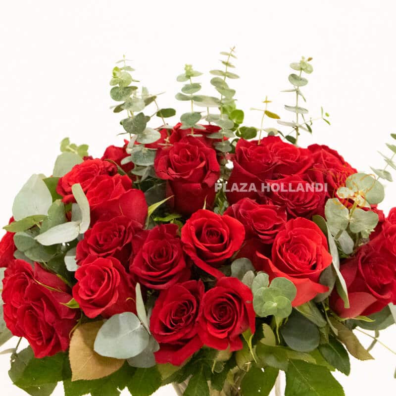 50 red roses with eucalyptus in a vase