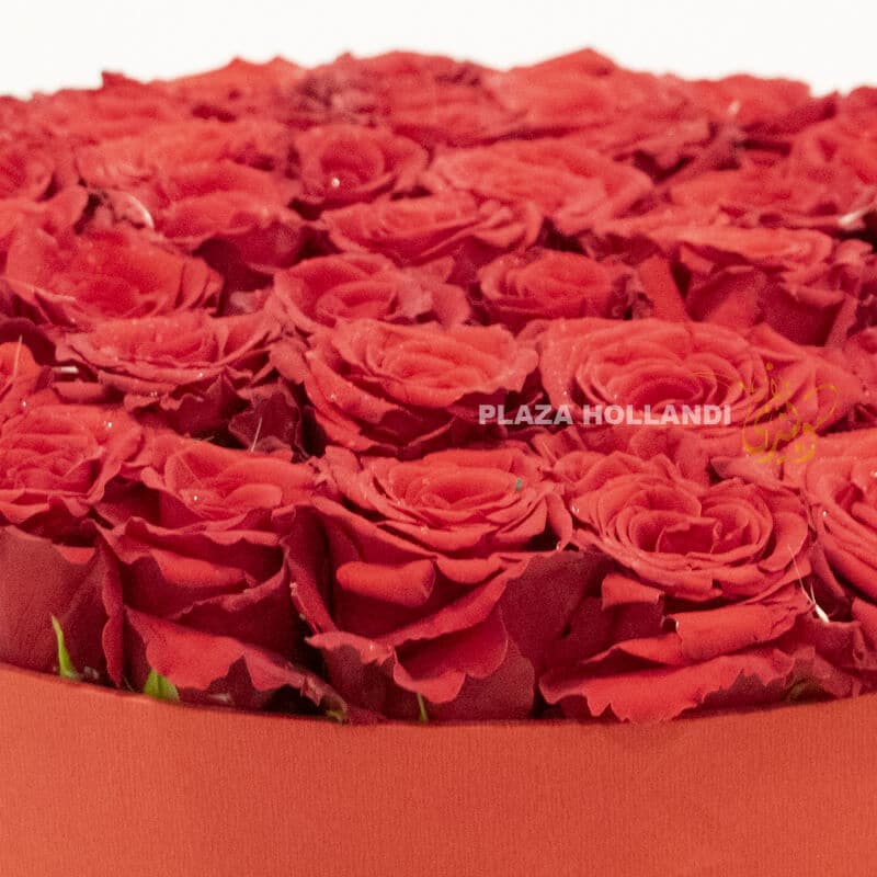 Long lasting roses in a red box