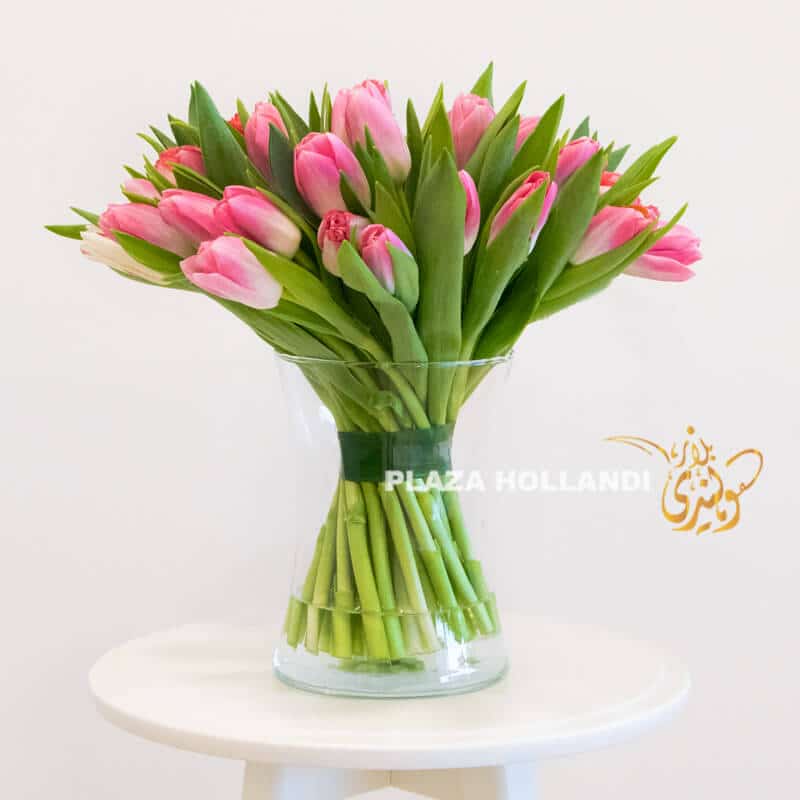 Pink tulips in a glass vase
