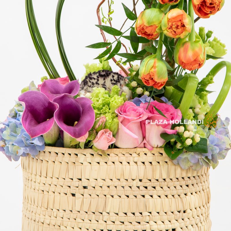 FLOWERS PLAZA HOLLANDI (4)