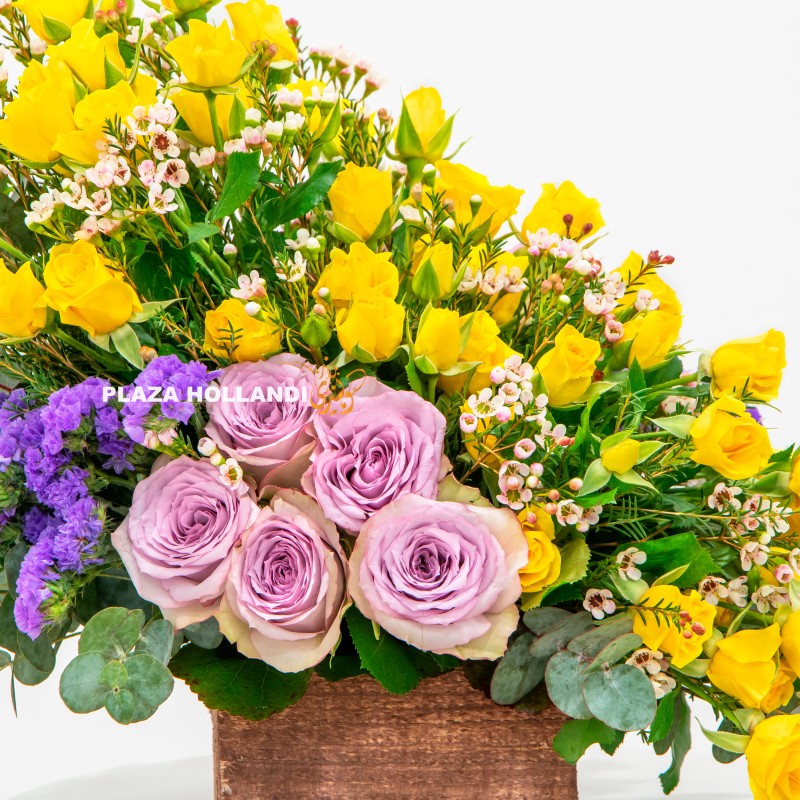 close up of yellow and purple flowers