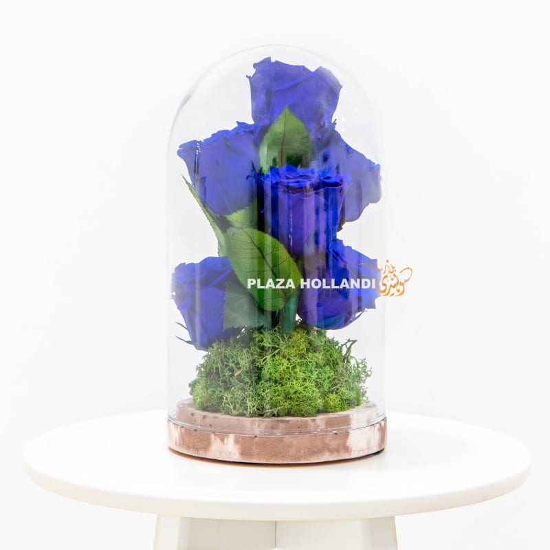 Preserved blue rose arrangement