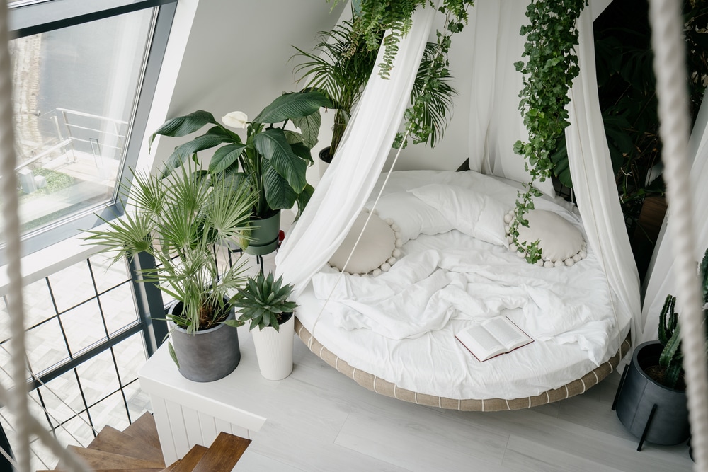 houseplants surrounding a bed