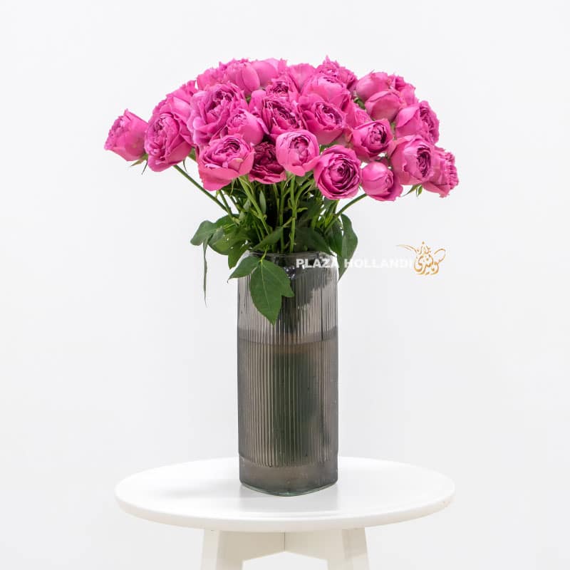 Purple Spray Rose In A Vase