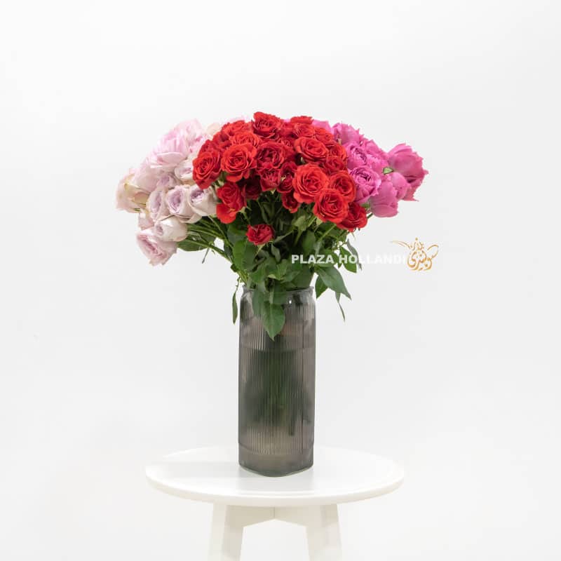 Spray Roses in a Vase - Plaza Hollandi