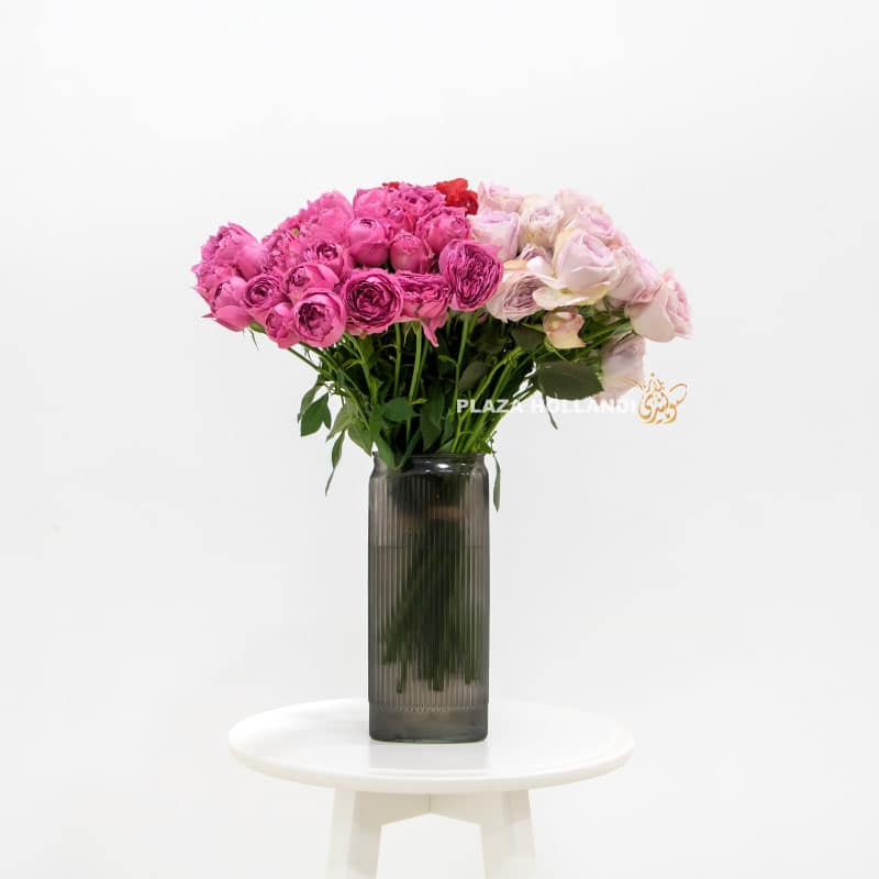 Spray Roses in a Vase - Plaza Hollandi