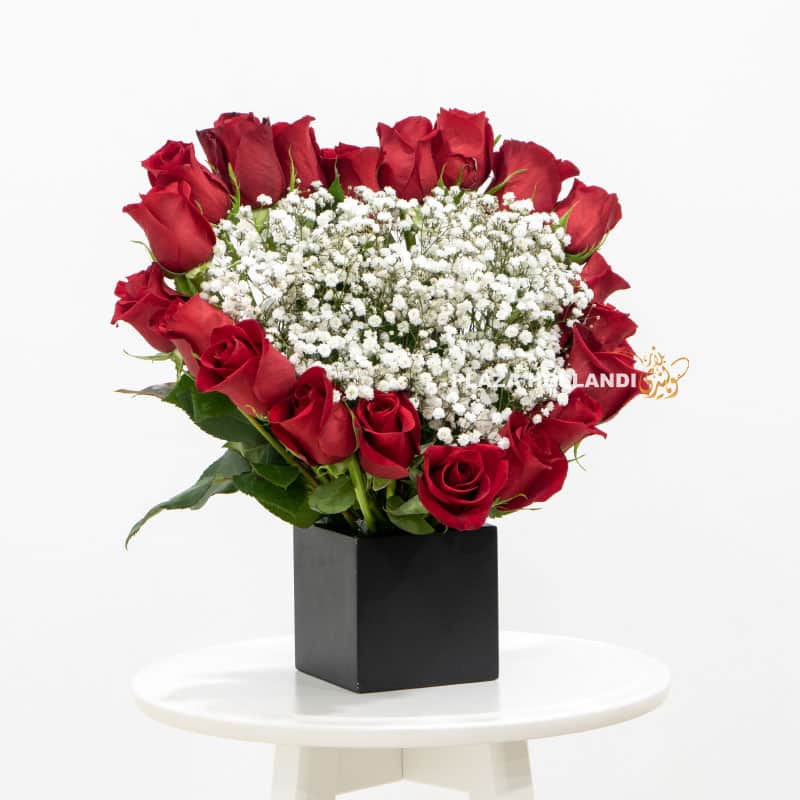 12 red roses in a black box with gypsophilia