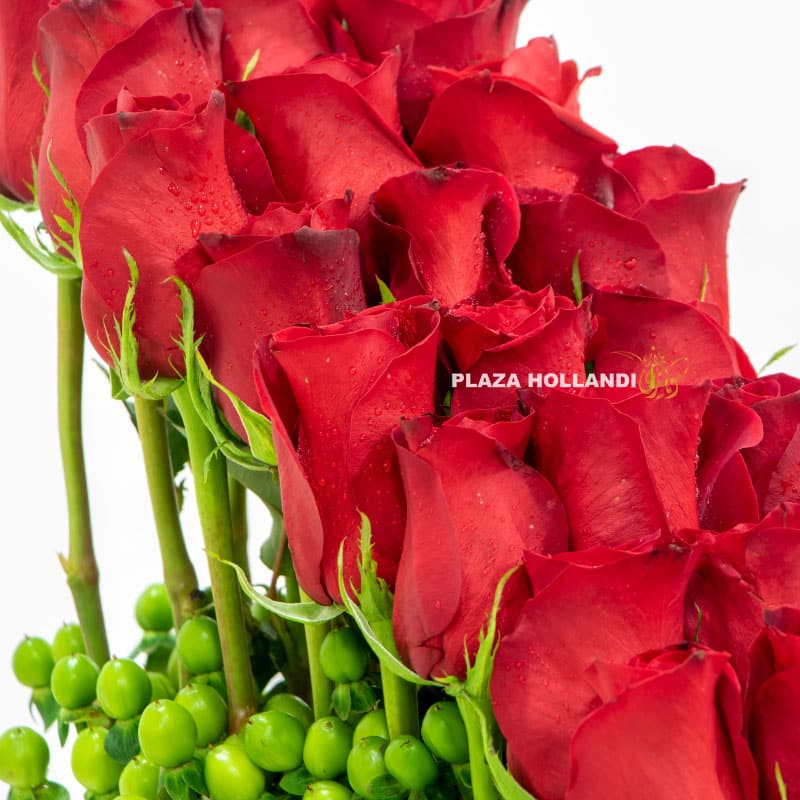 close up of red roses and hypericum
