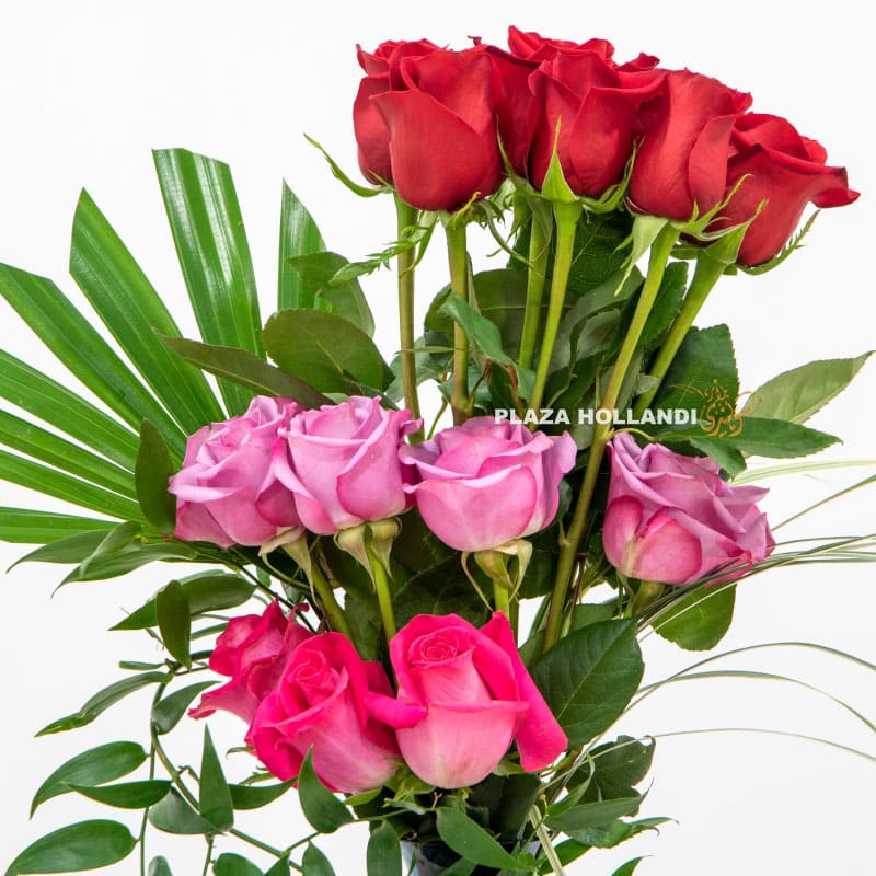 red, purple and pink roses