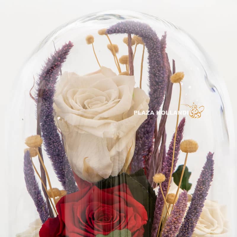Preserved rose in a glass dome