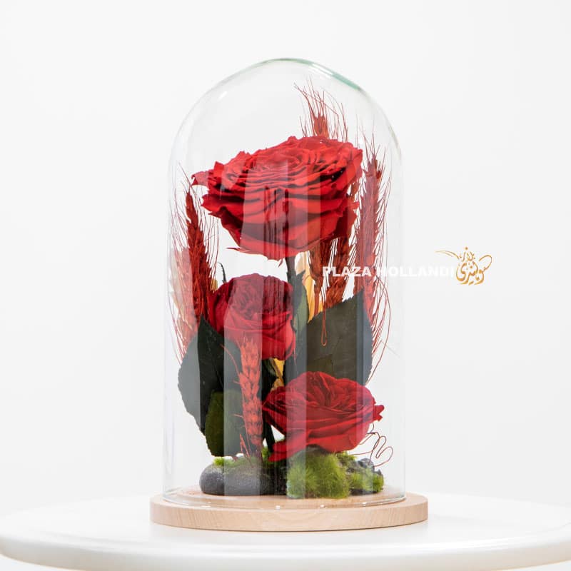 Preserved roses in a dome