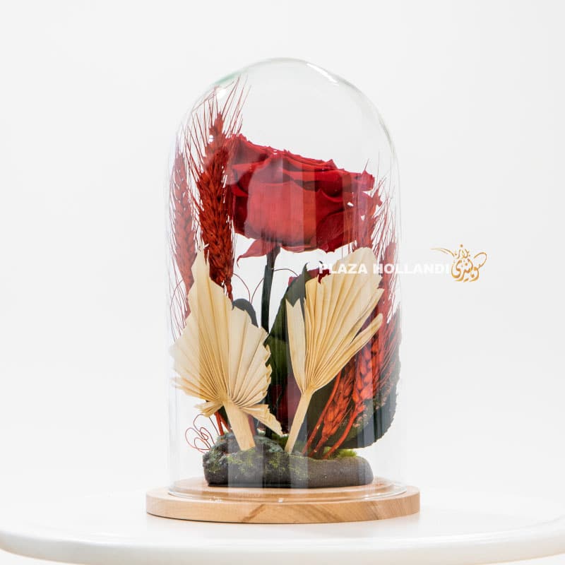 Preserved rose in glass dome