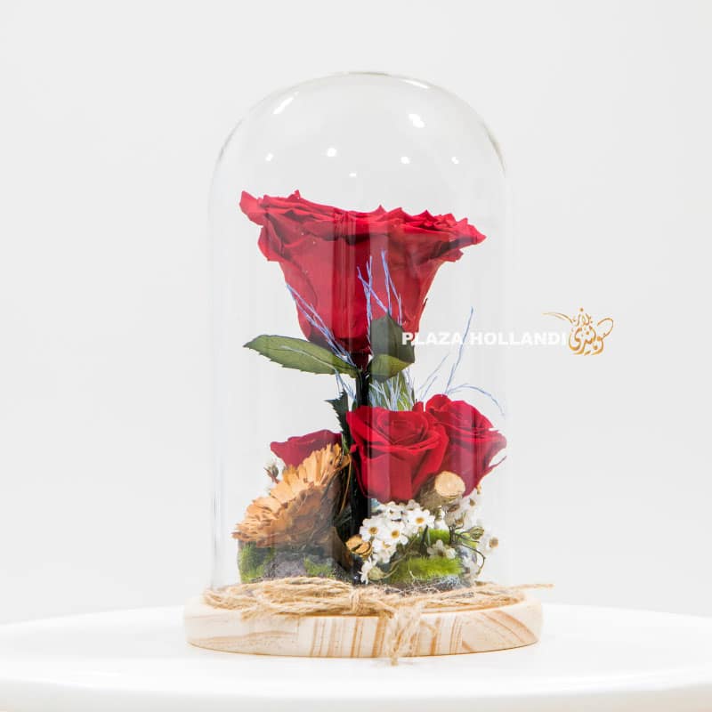 Preserved roses in a glass dome