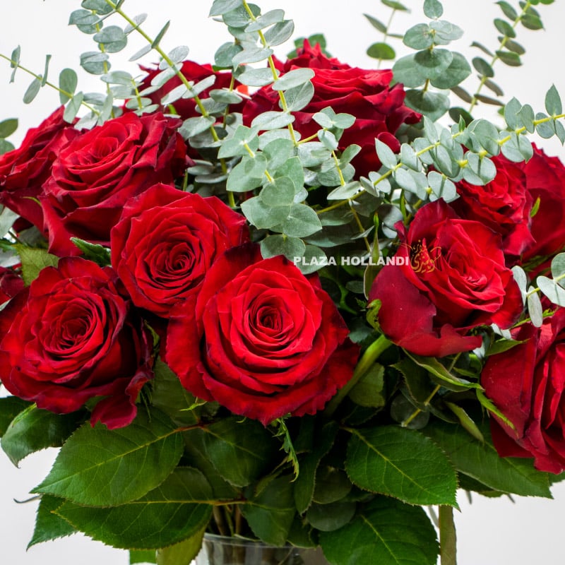 close up of red rose bouquet