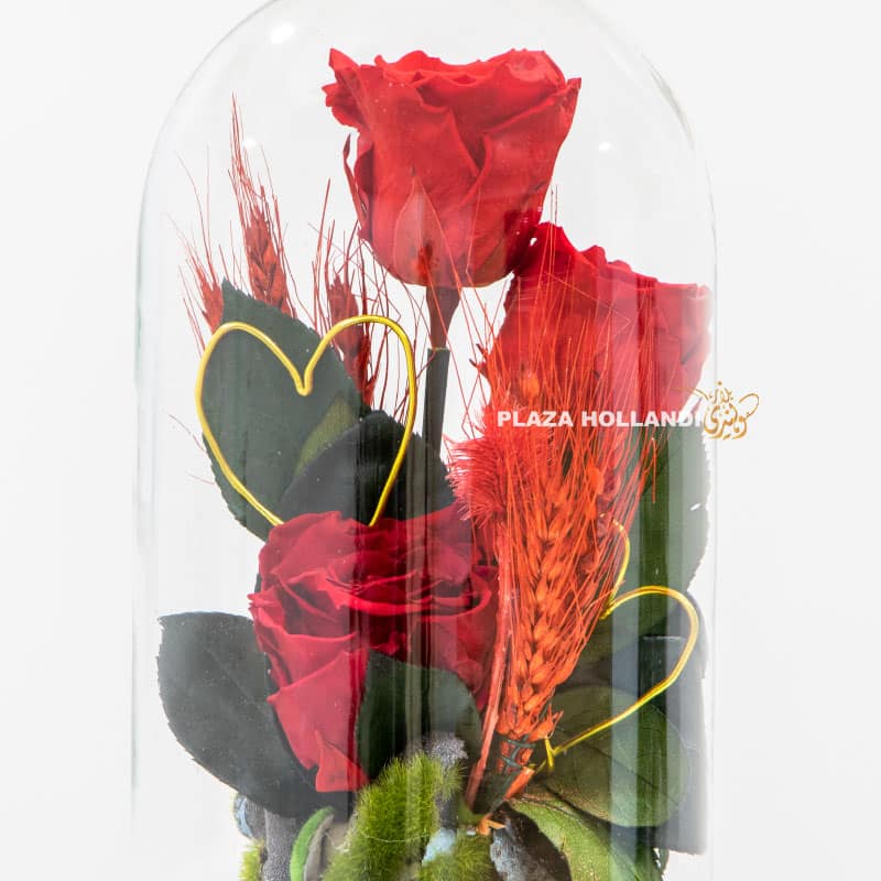 Red preserved rose with heart in glass dome