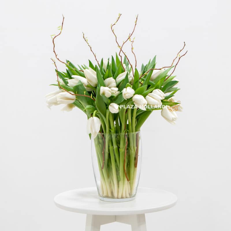 White tulips and salex in a vase
