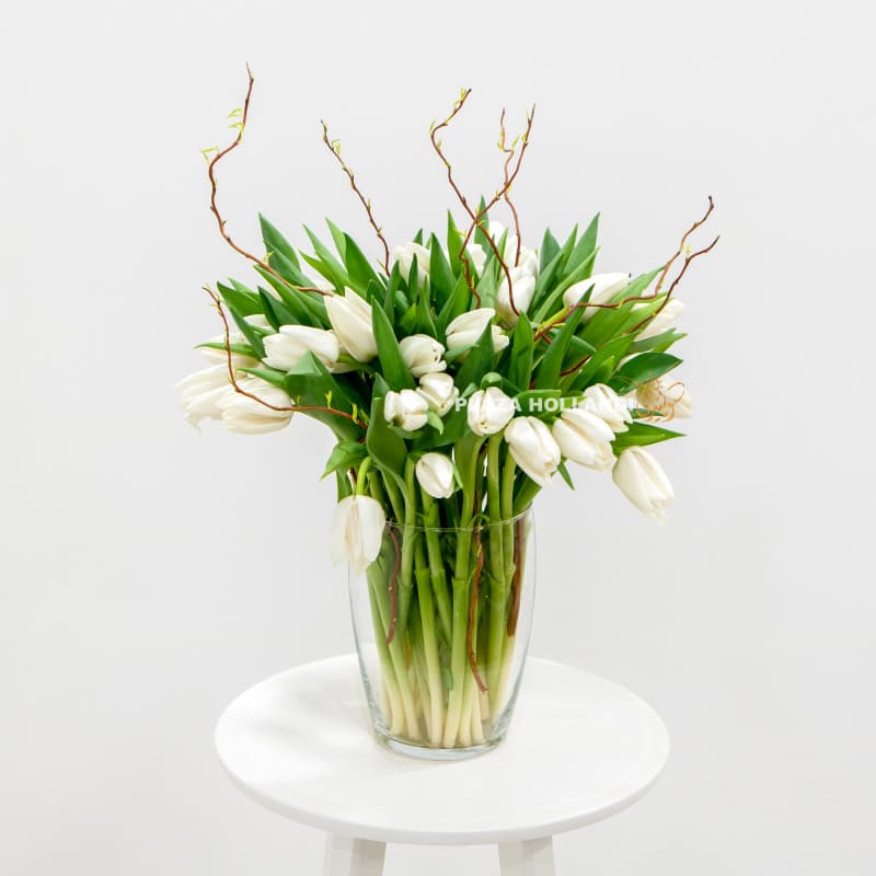 White tulips in a glass vase