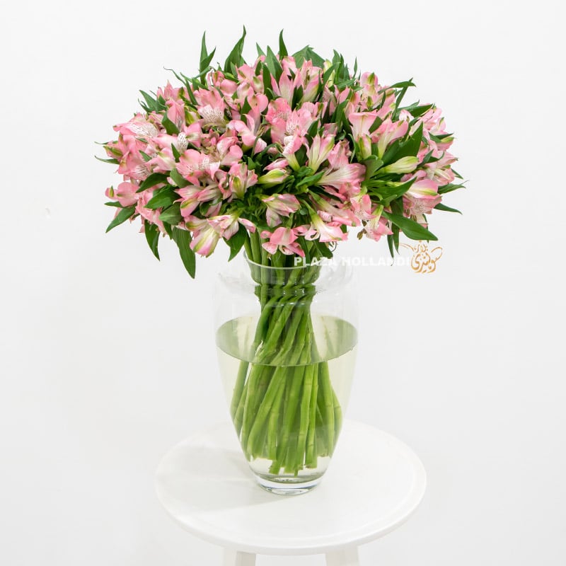 Pink Alstroemeria flowers in a glass vase