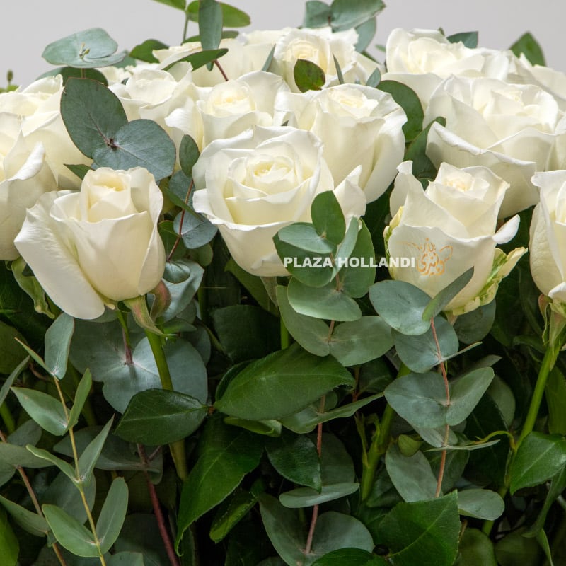 close up of white roses with eucalyptus